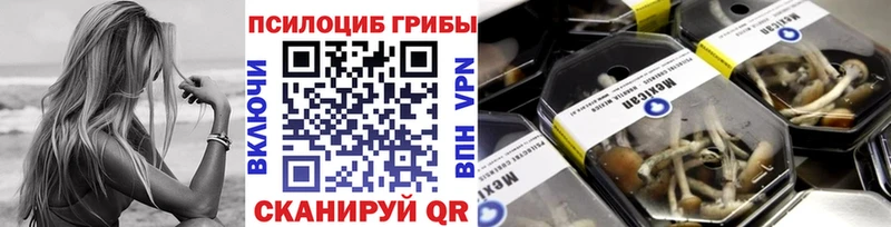 Псилоцибиновые грибы MAGIC MUSHROOMS  Княгинино 